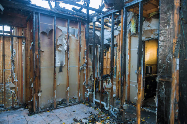 Professional Soot Cleanup technician working in Rossford, OH